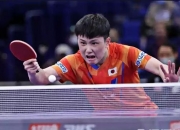 开云体育官网-波兰乒乓球队血洗日本乒乓球队，张本智和惊艳世界的简单介绍