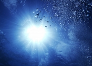 开云体育中国-末节之王，贝恩如何化身关键先生，助老鹰展翅带走猛龙