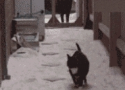 开云平台-步行者血拼独行侠，锡安成为胜负手