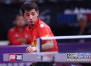 开云体育-葡萄牙队逆转奥地利队，张继科带队取胜