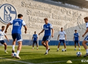 开云在线直播-沙尔克客场大胜多特蒙德，惊险取胜的简单介绍