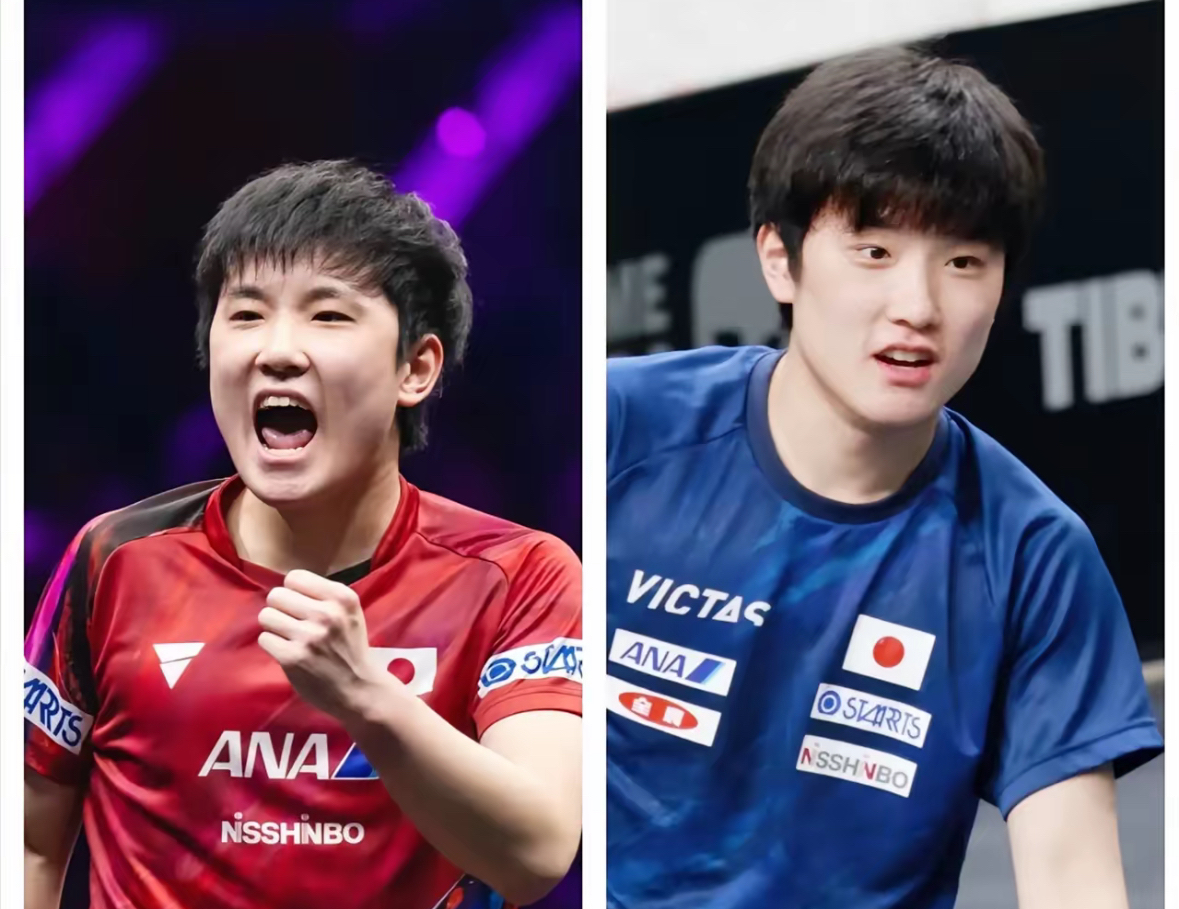 包含英格兰队轻取法国队，张本智和高光表现的词条