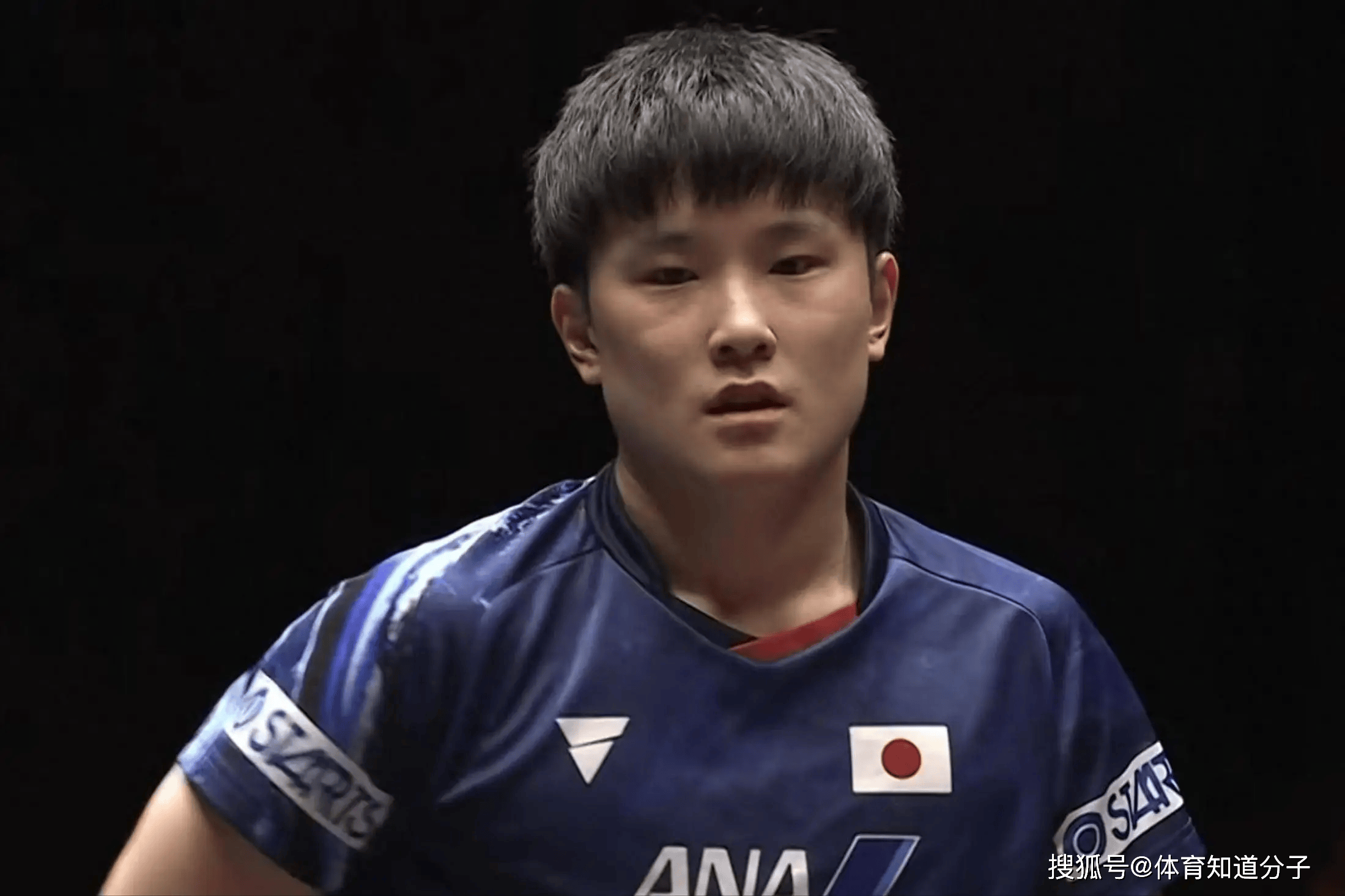 法国乒乓球队力克韩国乒乓球队,张本智和高光表现的简单介绍 法国乒乓球队力克韩国乒乓球队,张本智和高光表现的简单介绍