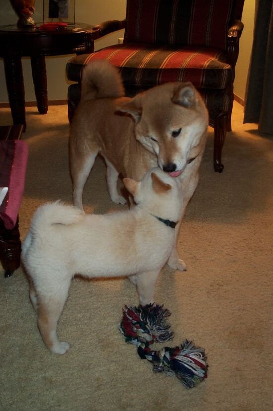 决胜时刻的孤胆英雄,当快船掀翻勇士,德罗赞在欧冠赛场接管比赛