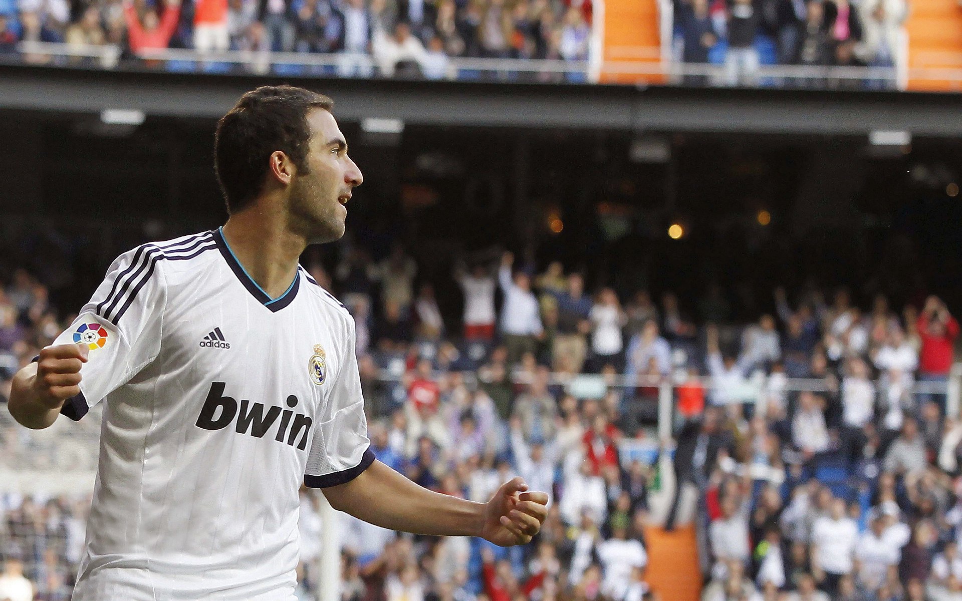 当爱尔兰的绿意打穿罗马的城墙,库尔图瓦如何成为改写历史的关键先生