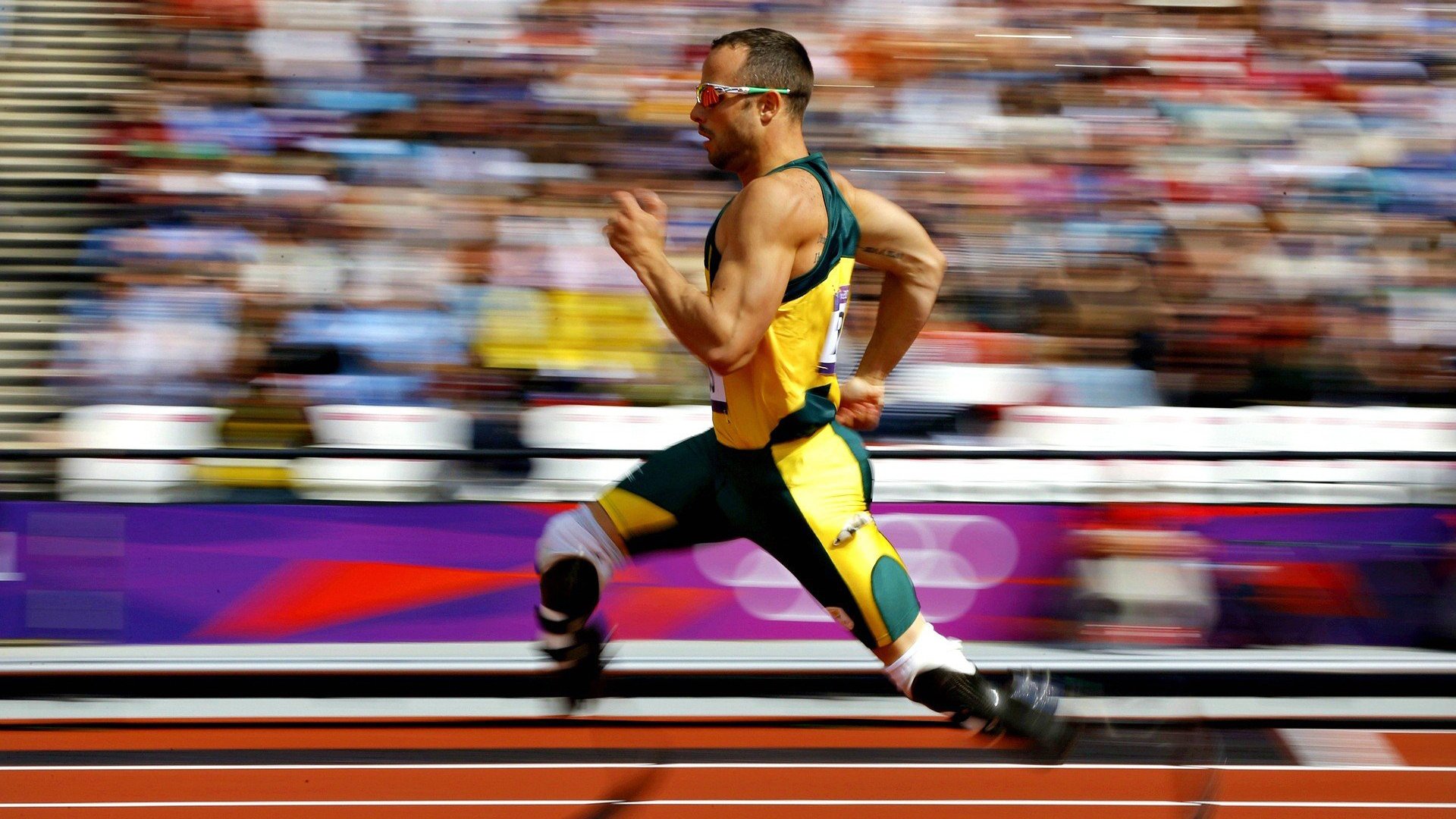 当独舞者成为指挥家，拉梅洛·鲍尔如何用节奏魔法重塑黄蜂